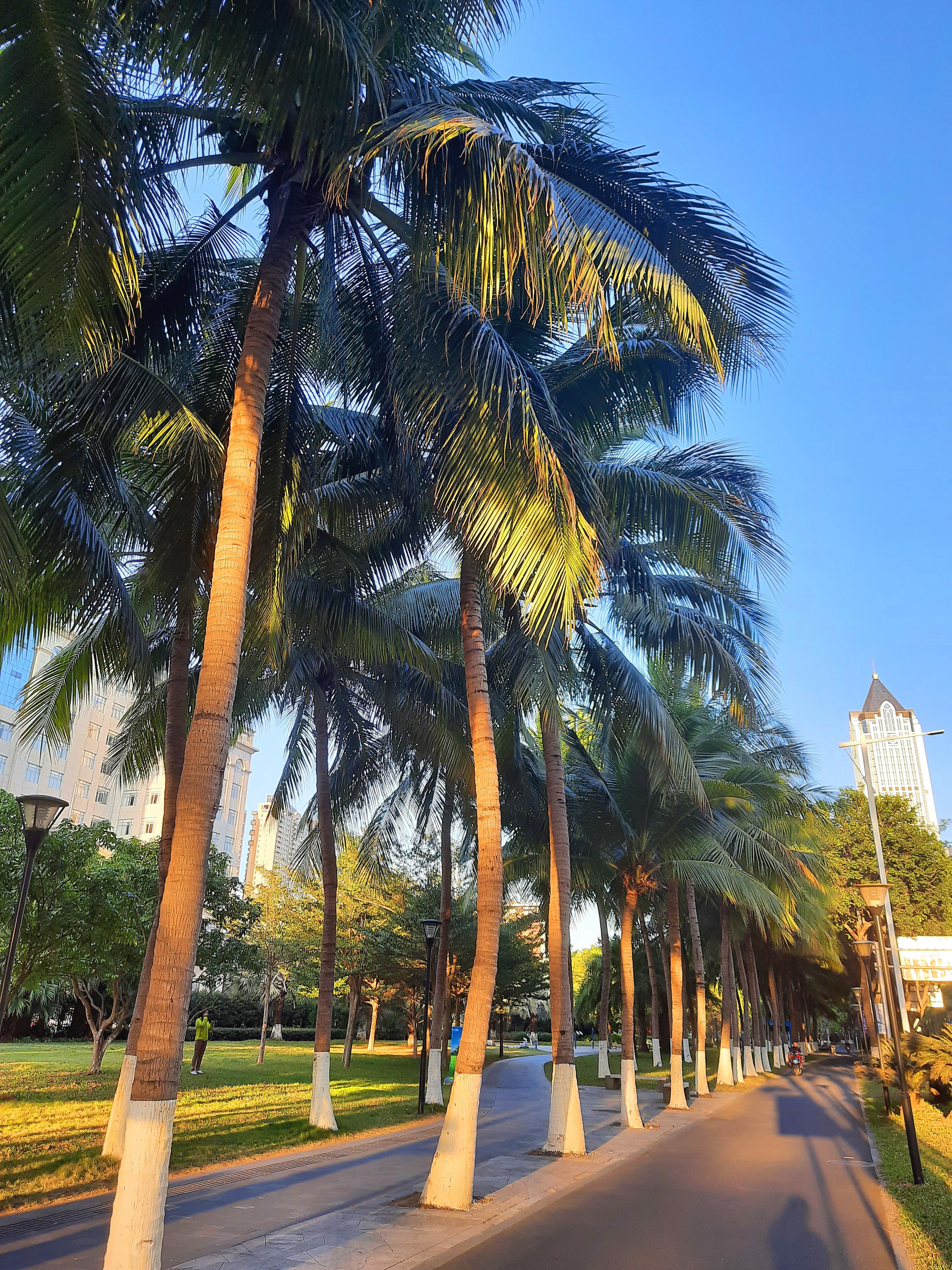 海南科技之光,引领未来生活新篇章