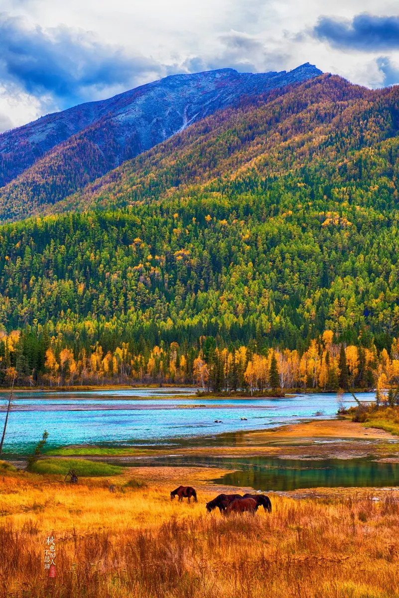 新疆，致敬领导与同胞的深情礼赞